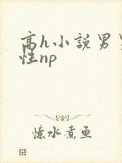 高h小说男男双性np