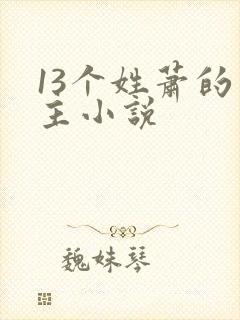 13个姓萧的男主小说