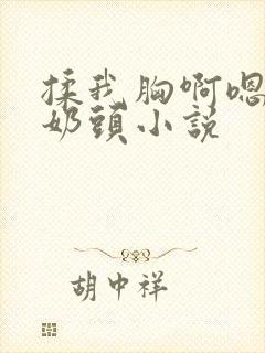 揉我胸啊嗯摸湿奶头小说