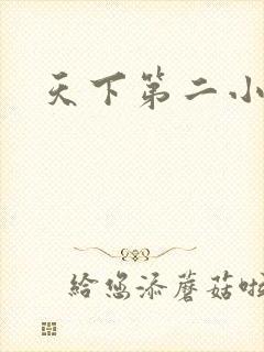 天下第二小说