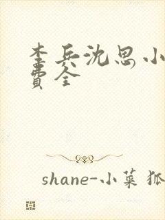 李兵沈思小说免费全