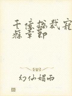 千亿总裁宠妻成瘾章节封面