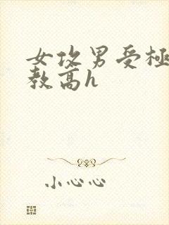 女攻男受极限调教高h封面