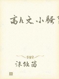 高h文小骚货封面