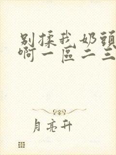 别揉我奶头嗯～啊一区二三区