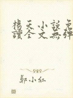 杨天小说免费阅读全文无弹窗