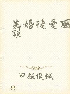 先婚后爱联姻小说