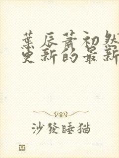 叶辰萧初然今天更新的最新章节