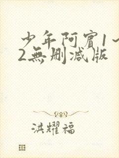 少年阿宾1～72无删减版