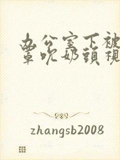 办公室下被扒奶罩吮奶头视频