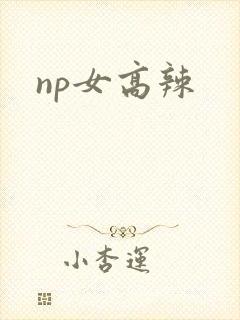 np女高辣
