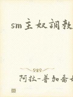 sm主奴调教文封面
