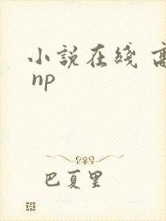 小说在线 高h np
