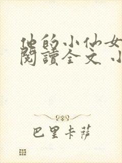 他的小仙女免费阅读全文 小说