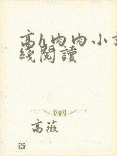 高h肉肉小说在线阅读