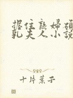 握住熟妇硕大双乳夫人小说