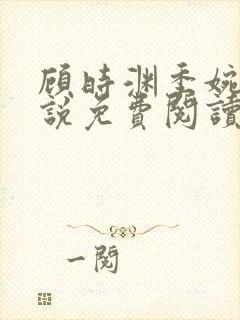 顾时渊季婉婷小说免费阅读最新章节