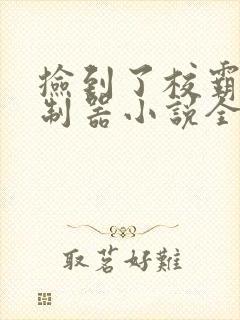 捡到了校霸的控制器小说全文免费阅读