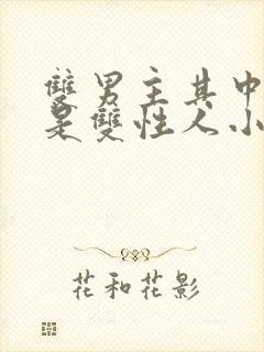 双男主其中一个是双性人小说