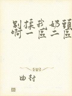 别揉我奶头～嗯啊一区二区