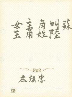 女主角叫苏念男主角姓陆