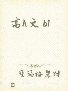 高h文 bl