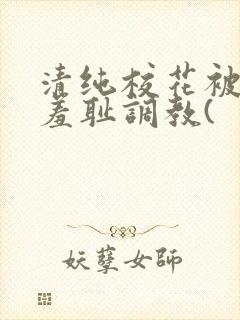 清纯校花被民工羞耻调教(