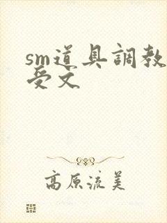 sm道具调教小受文