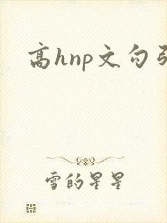 高hnp文勾引