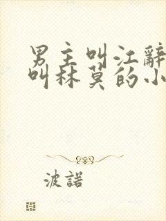 男主叫江辞女主叫林莫的小说封面