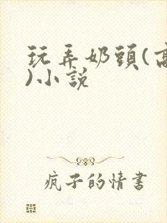 玩弄奶头(高h)小说