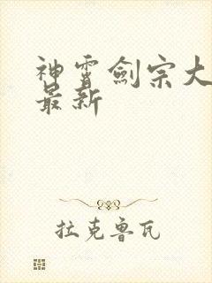 神霄剑宗大师兄最新封面
