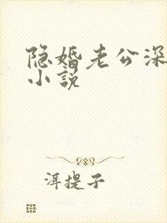 隐婚老公深夜来小说