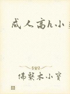 成人高h小爽文封面