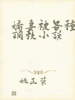 娇妻被各种刑具调教小说