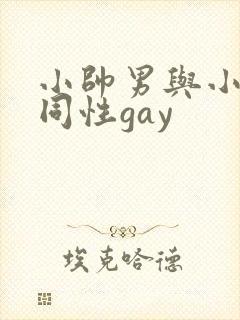 小帅男与小鲜肉同性gay