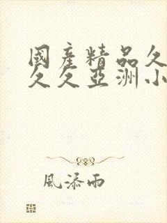 国产精品久久久久久亚洲小说