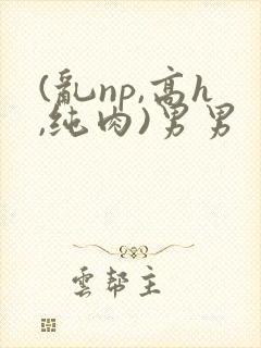 (乱np,高h,纯肉)男男