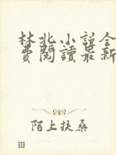 林北小说全文免费阅读最新章节封面