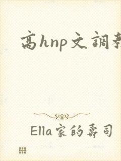 高hnp文调教