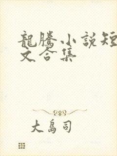 龙腾小说短篇辣文合集