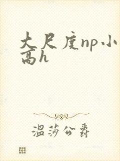 大尺度np小说高h