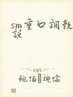 sm重口调教小说