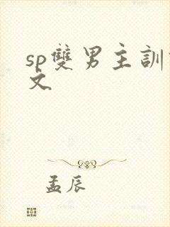 sp双男主训诫文