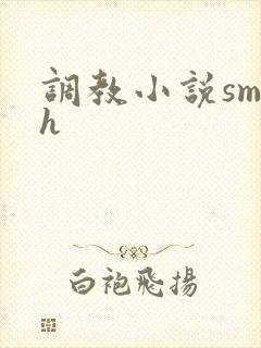 调教小说sm高h