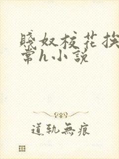 贱奴校花挨脔日常h小说