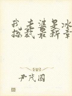 我老婆是冰山女总裁最新章节阅读