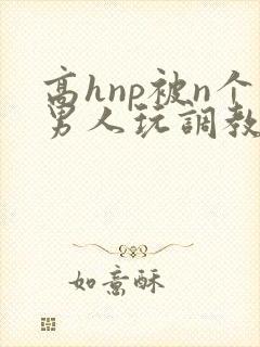 高hnp被n个男人玩调教