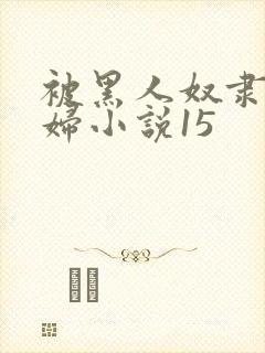 被黑人奴隶的少妇小说15