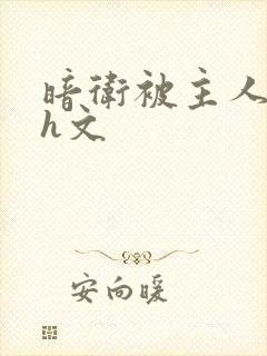 暗卫被主人调教h文